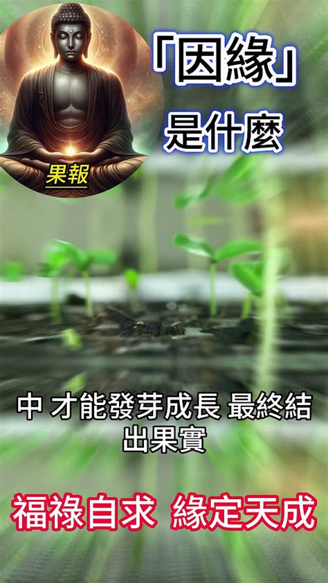 助緣|認識因緣果報